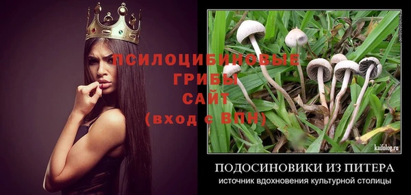 стаф Горно-Алтайск