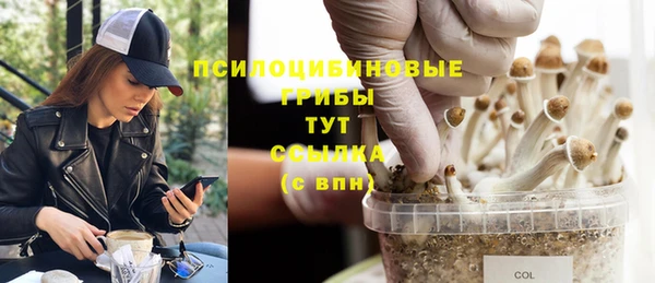 стаф Горно-Алтайск