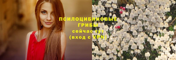 стаф Горно-Алтайск