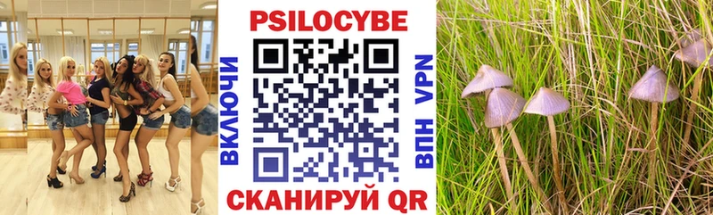 Купить  Еманжелинск  Галлюциногенные грибы Psilocybine cubensis 